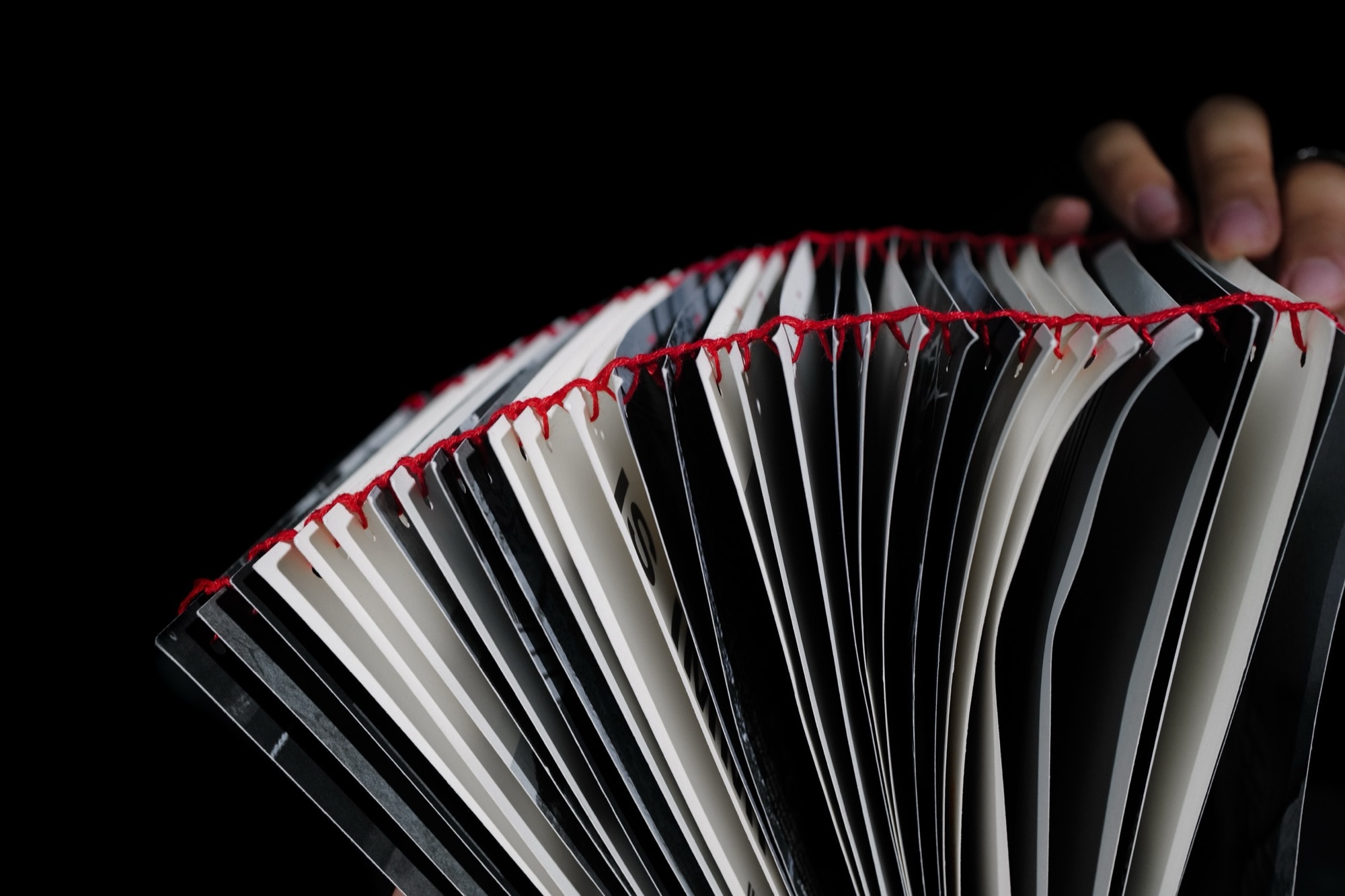 The C*lour of Pomegranates fanned pages detail