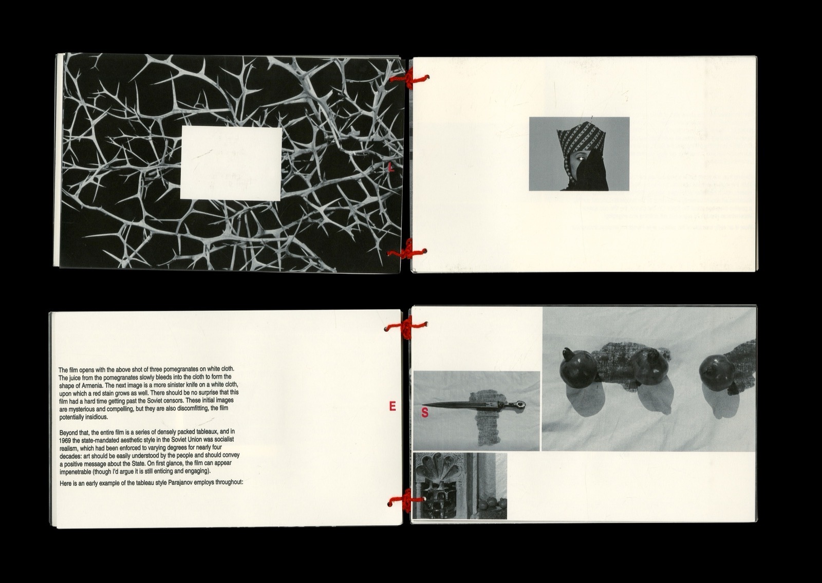 The C*lour of Pomegranates sequence frame 6