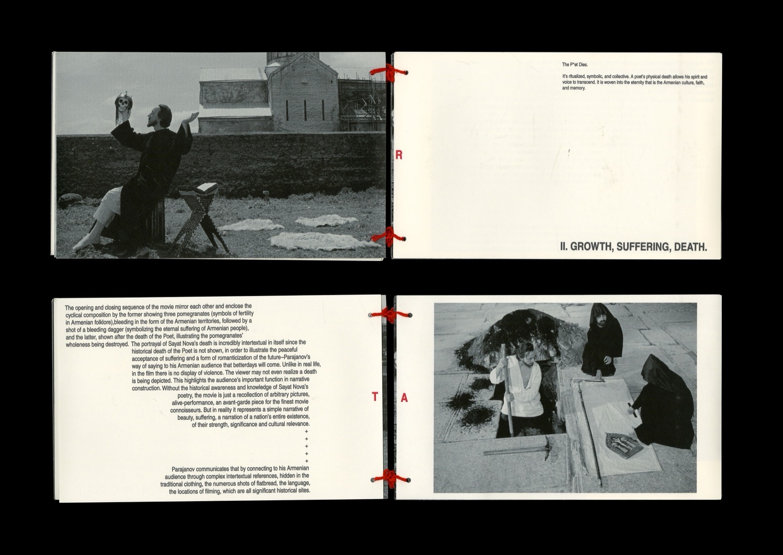 The C*lour of Pomegranates sequence frame 8