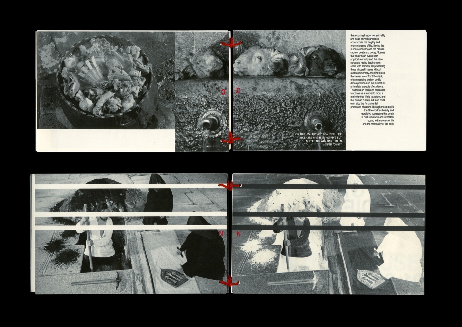 The C*lour of Pomegranates sequence frame 9